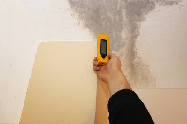 Best Air Quality Testing for Mold Spores  in Breezy Point, MN