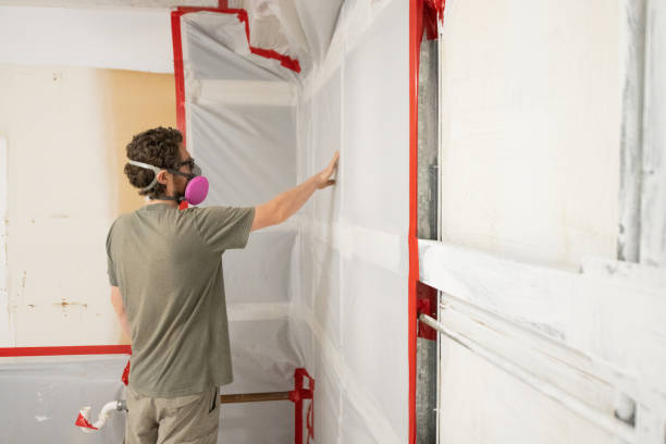 Best Forensic Mold Investigation  in Breezy Point, MN