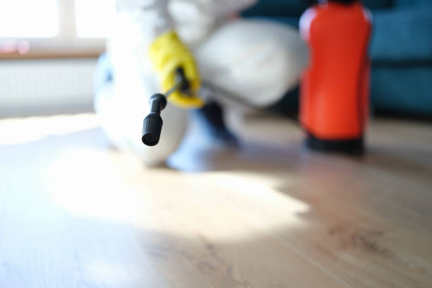 Best Mold Removal for HVAC Installations  in Breezy Point, MN