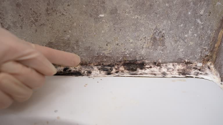 Best Indoor Air Quality Assessment  in Breezy Point, MN
