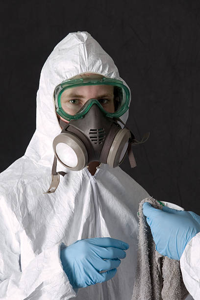 Best Mold Odor Removal Services  in Breezy Point, MN